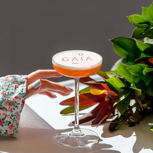 Cafepaste Latte Art Yazıcısı